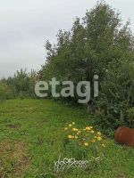 Лот: 25285392. Фото: 10. 1-комн. дача , садоводческое некоммерческое...