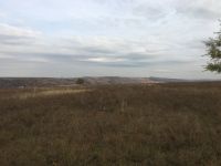 Лот: 12331478. Фото: 5. Участок под ИЖС поселок Берёзовка...