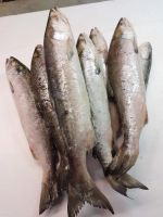 Лот: 21096090. Фото: 2. Нерка не потрошёная. Продукты
