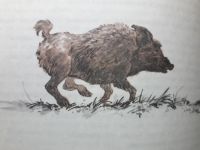Лот: 13983215. Фото: 3. Виктор Алексеев "Последний Бобр... Литература, книги