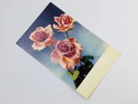 Лот: 23296754. Фото: 2. Цветы: Розы. Открытка. 1968. Открытки, билеты и др.