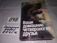 Лот: 5869989. Фото: 10. Ваши домашние четвероногие друзья...