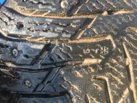 Лот: 20835544. Фото: 3. Hakkapeliitta 8. Авто, мото, водный транспорт