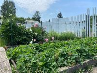 Лот: 25527082. Фото: 6. 3-комн. дача , СНТ Речник СНТ...