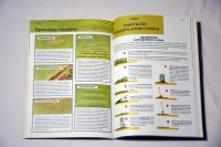 Лот: 12994991. Фото: 3. Все о газонах. Красноярск