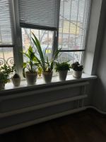 Лот: 25738355. Фото: 5. Сдам офис на Тамбовской 35 -18...