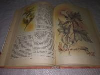 Лот: 21993884. Фото: 9. (3092307) oz Липницкий, С.С...