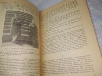 Лот: 25808350. Фото: 6. ozЮ/вбР(4092386)Эдельштейн А.О...