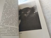 Лот: 17461281. Фото: 12. Фридман Э. Занимательная приматология...