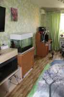 Лот: 16133815. Фото: 2. Продам 1 комн. квартиру. Новой... Продажа