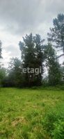 Лот: 25298346. Фото: 11. участок , садоводческое некоммерческое...