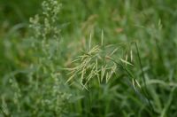 Лот: 8015290. Фото: 5. Sigma 70-300mm 1:4-5.6 DG macro...