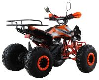 Лот: 25774807. Фото: 4. Квадроцикл MOTAX ATV T-Rex Super... Красноярск