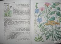 Лот: 17148812. Фото: 2. Плешаков Андрей - Зеленые страницы... Учебники и методическая литература