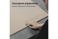 Лот: 23699618. Фото: 4. Индукционная панель KUPPERSBERG... Красноярск