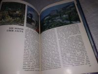 Лот: 19536371. Фото: 6. Неяченко И. Солнце над Ялтой...