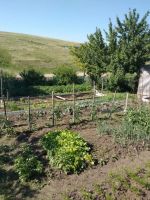 Лот: 13994850. Фото: 5. Дача