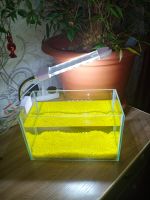 Лот: 19253754. Фото: 2. Аквариум. Аквариумистика