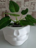 Лот: 17453391. Фото: 6. кашпо из гипса