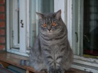Лот: 7980633. Фото: 7. Olympus E-500 + 2 объектива