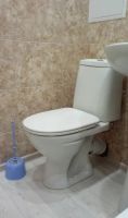 Лот: 15239406. Фото: 3. Сдается в аренду однокомнатная... Недвижимость
