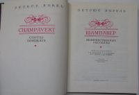 Лот: 8280016. Фото: 2. Шампавер. Безнравственные рассказы... Литература, книги