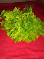 Лот: 9942311. Фото: 2. Салат, салат листовой. Продукты
