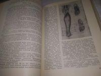 Лот: 24581166. Фото: 11. oz(3092315)Рабинович М. Ц. Пластическая...