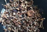 Лот: 25887099. Фото: 2. Грибы сушеные. Опята 100г. Сбор... Продукты