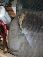 Лот: 25080892. Фото: 2. Сидушки от автомобиля от нисан... Инструмент