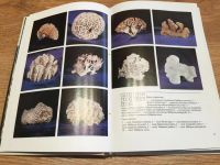 Лот: 9782222. Фото: 2. Книга-фотоальбом "Мир кораллов... Хобби, туризм, спорт