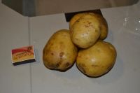 Лот: 6303429. Фото: 2. Картофель "Латона". Продукты