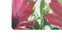 Лот: 23947316. Фото: 2. Салфетка на стол HOFF Flowers. Домашний текстиль