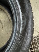 Лот: 25333024. Фото: 5. Шины Torero(Matador) MP47 195...