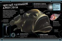 Лот: 7020558. Фото: 2. Обитатели морских глубин (ликвидация... Детям и родителям