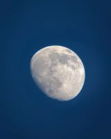Лот: 17393286. Фото: 5. Телескоп Sky-Watcher BK 707AZ2