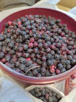 Лот: 23318569. Фото: 2. Ягода. Продукты