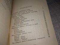 Лот: 12645521. Фото: 3. Памятка грибника, Аптер Н. (799в... Литература, книги