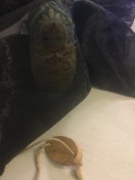 Лот: 18413666. Фото: 4. Мешочек подарочный, для упаковки...