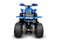 Лот: 25740259. Фото: 6. Квадроцикл RACER Typhoon 250
