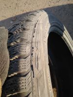 Лот: 11442591. Фото: 3. хакка 4, 215/45/17 nokian hakkapelIitta-4. Авто, мото, водный транспорт