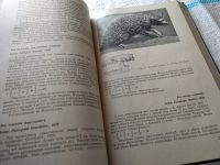 Лот: 18614083. Фото: 11. Соколов В.Е. Систематика млекопитающих...