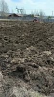 Лот: 19946571. Фото: 5. Участок