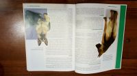 Лот: 11950104. Фото: 5. Книга Немецкая овчарка