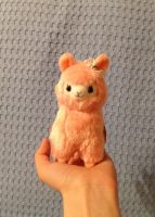 Лот: 7016371. Фото: 4. Маленькие японские альпаки Alpacasso. Красноярск