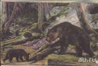 Лот: 15213694. Фото: 3. Йозеф Аугуста - Исчезнувший мир... Литература, книги