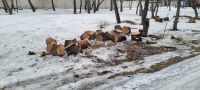 Лот: 21641356. Фото: 3. Дрова. Для дачи, дома, огорода, бани, парка
