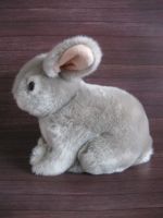 Лот: 21106197. Фото: 4. Заяц, кролик серый. Красноярск