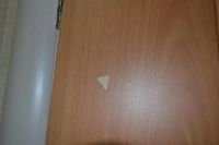 Лот: 3977348. Фото: 2. Дверь С21ф вьюн миланский орех... Двери, окна, фурнитура