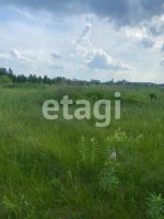 Лот: 25295077. Фото: 7. участок , село Частоостровское...